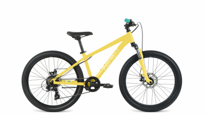Велосипед FORMAT 6413 24, размер 13, год: 2024, цвет: зеленый, артикул: ЦБ-00008109